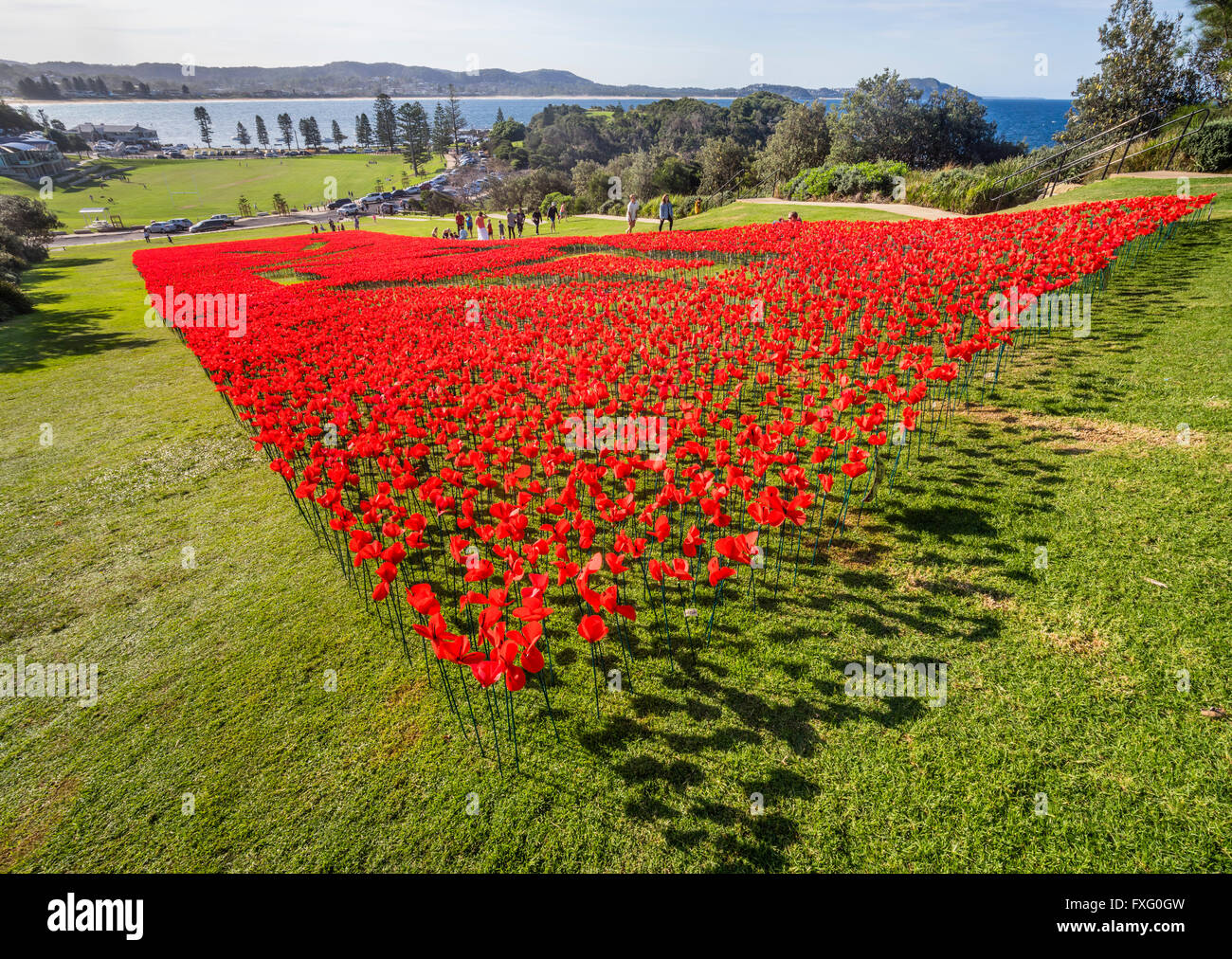Terrigal Central Coast, New South Wales, Australia. 15th April, 2016. field of poppies installed on the slope of the Skillion promontory at Terrigal on the Central Coast of New South Wales, Australia. The Poppy Project coincides with ANZAC Day on April 25th (a public holiday in Australia) and commemorates the 100 years of ANZAC Centenary. Credit:  Manfred Gottschalk/Alamy Live News Stock Photo