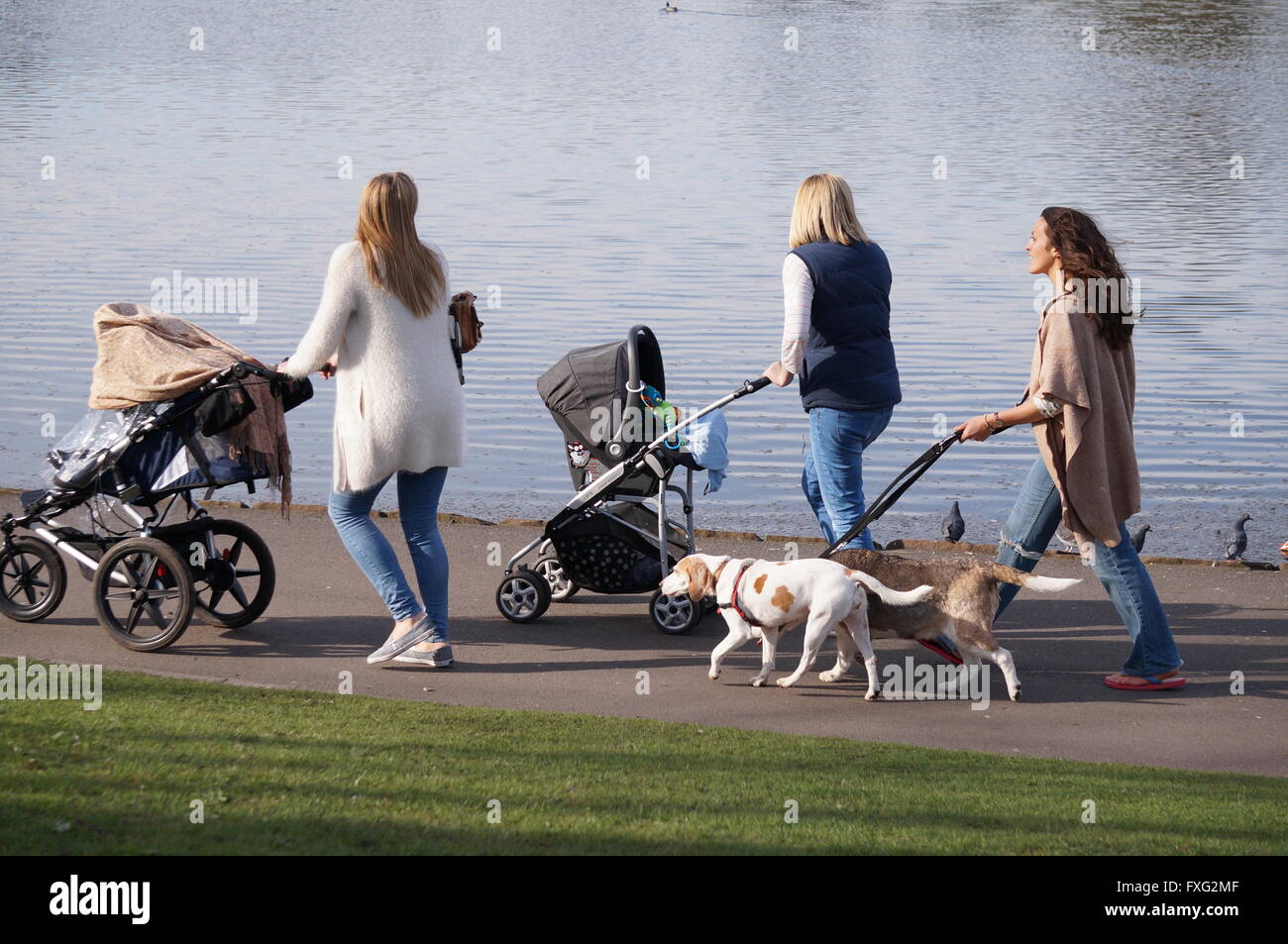 Women walking through Sefton Park,Liverpool with prams and dogs,beside the lake Stock Photo Alamy