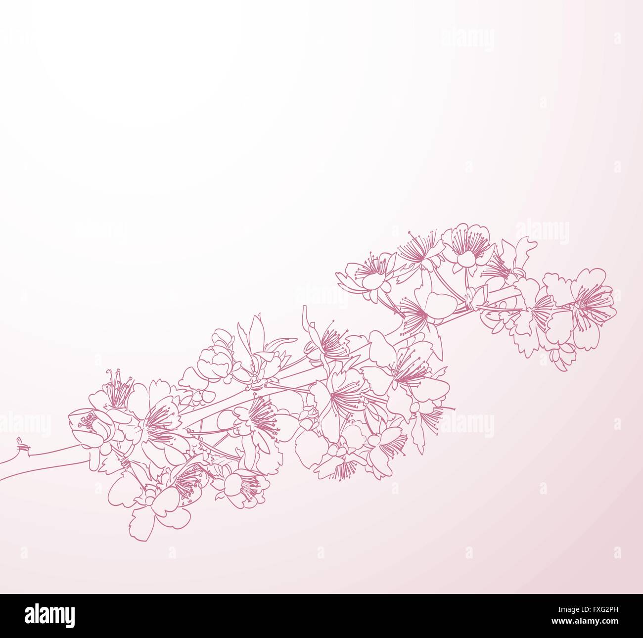 blossoming tree line art hand drawn illustration. spring stylish horizontal background with pink plum flowers vector Stock Vector