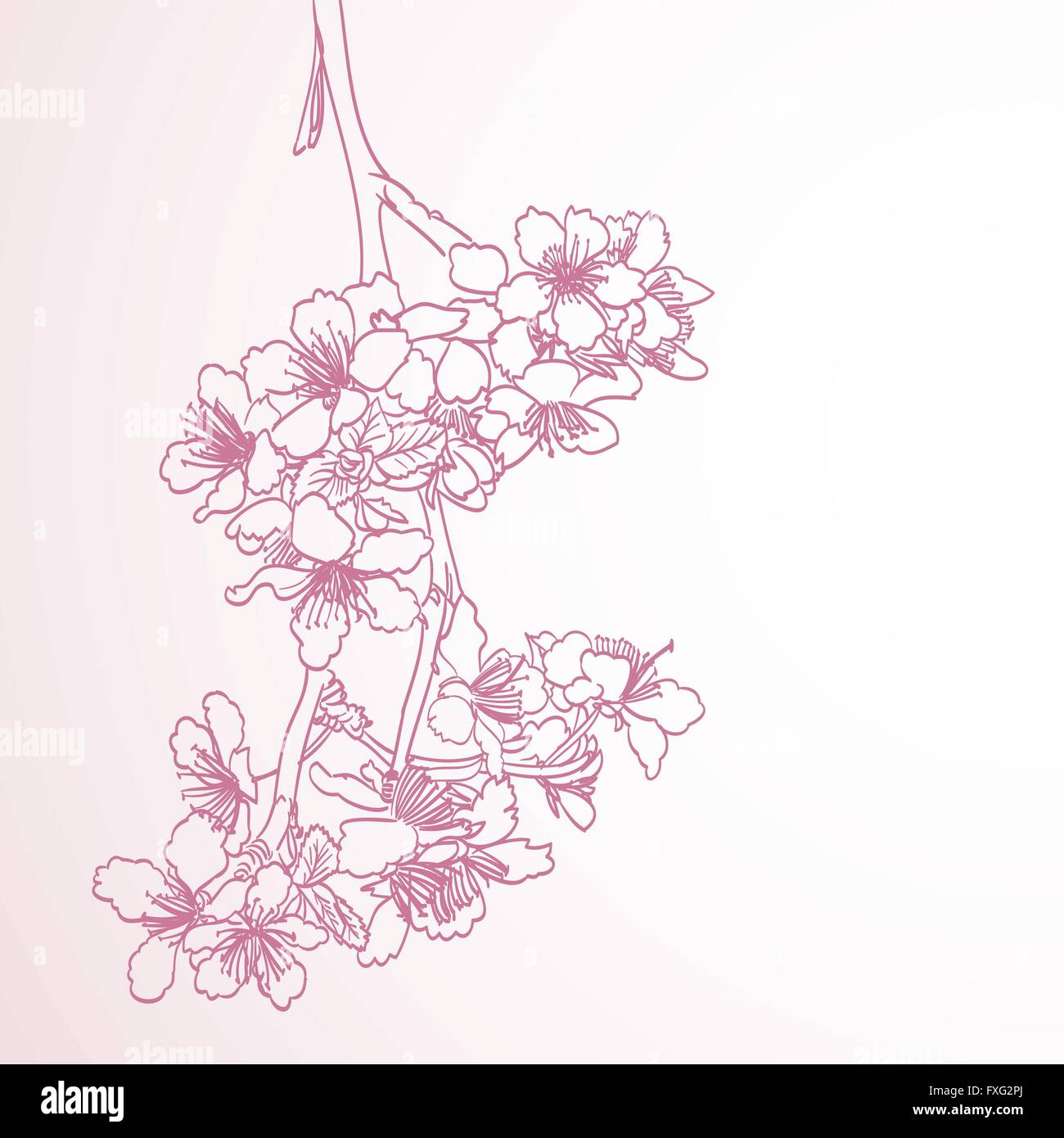 blossoming tree line art hand drawing illustration. spring stylish horizontal background with pink plum flowers vector Stock Vector