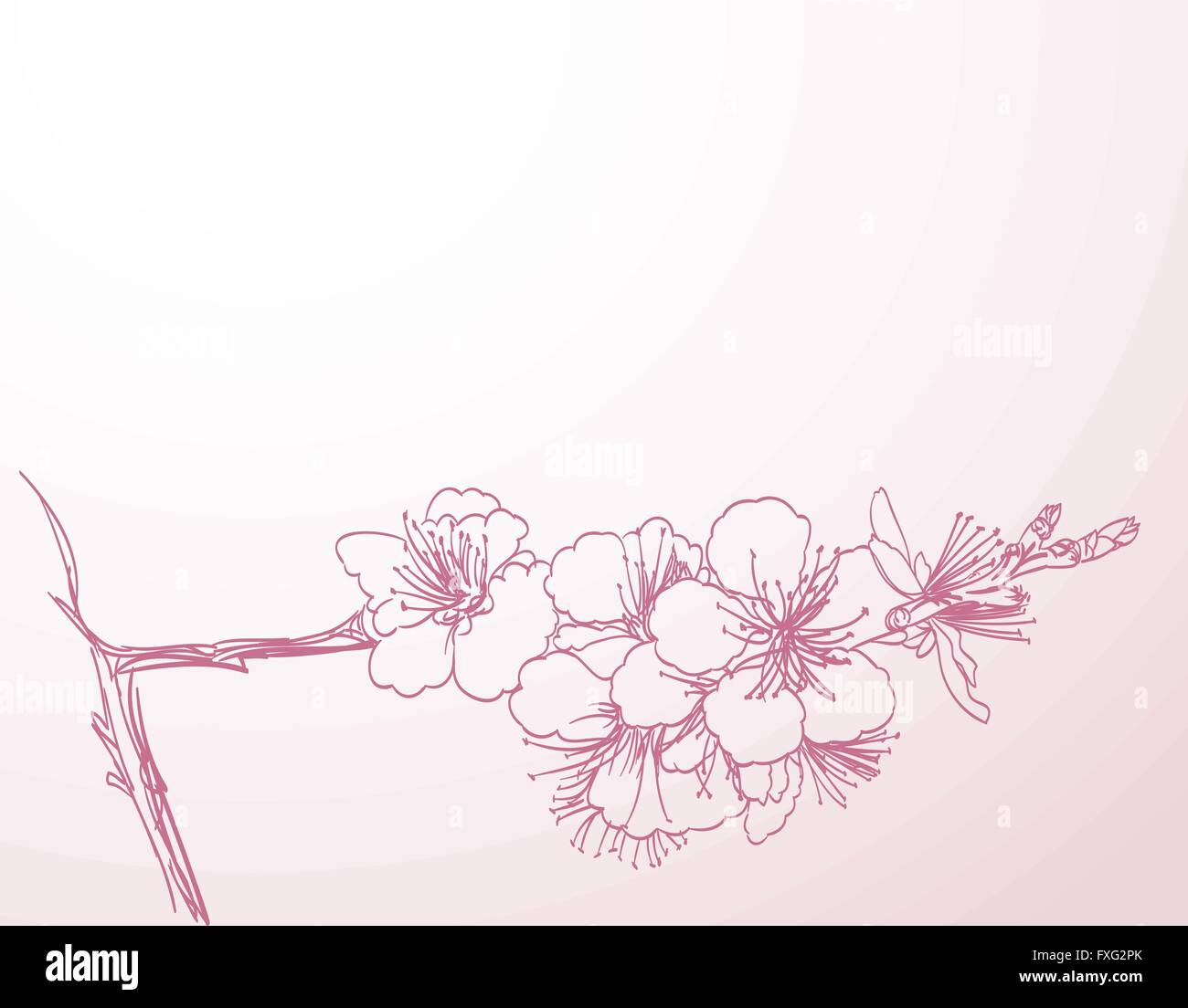 blossoming tree line art hand drawing. spring stylish horizontal background with pink plum flowers outline vector Stock Vector