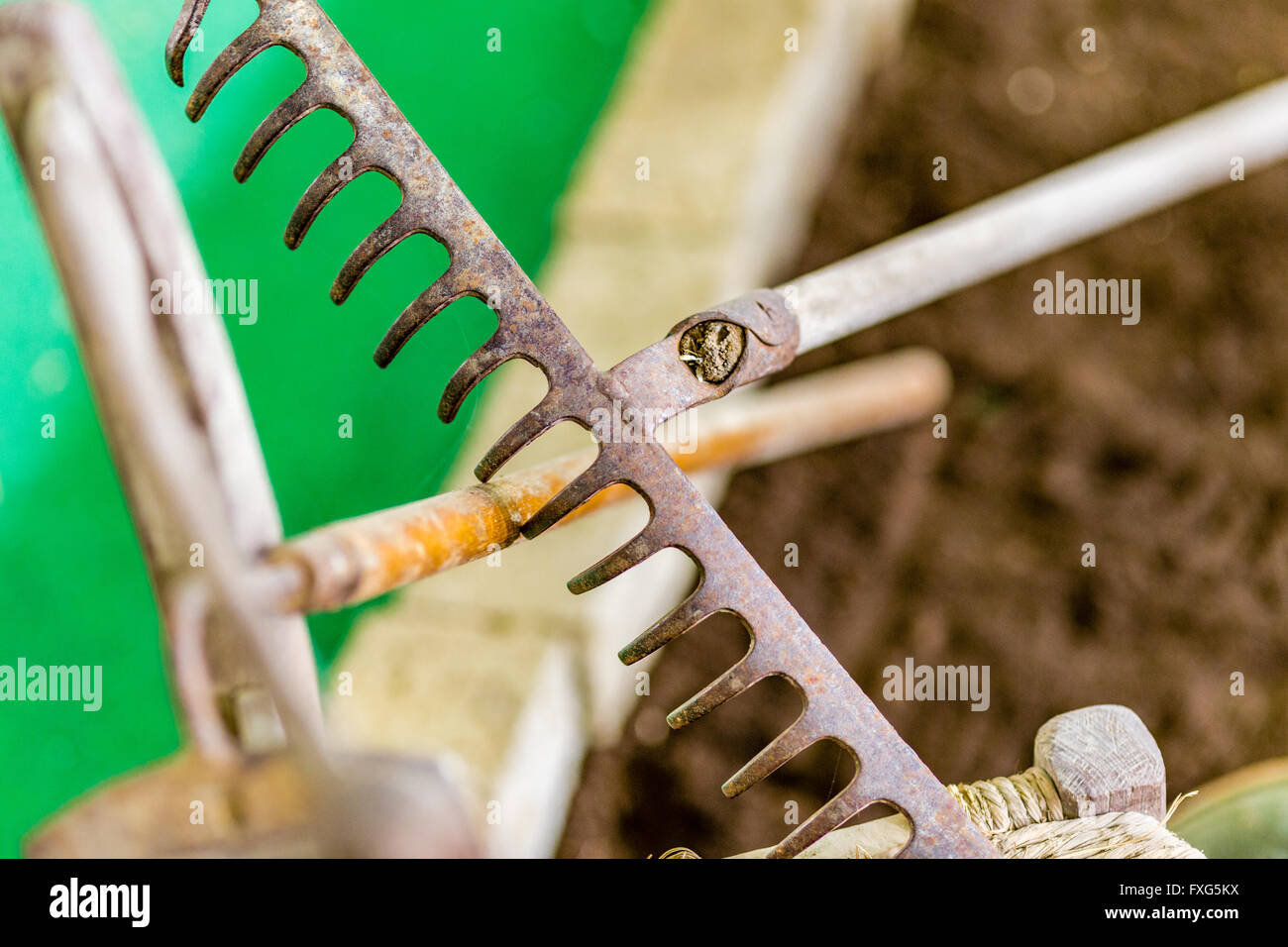 tools for the garden, a rusty rake Stock Photo - Alamy