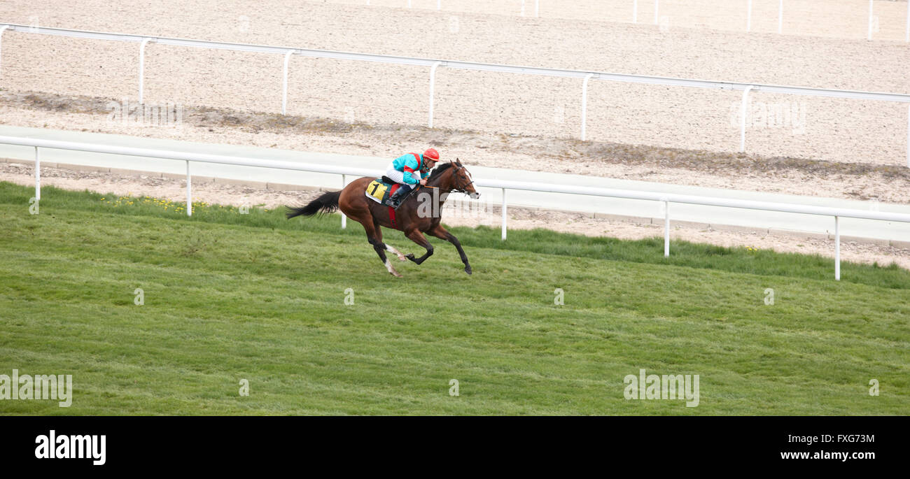 Race horse and jockey running in the track. Horizontal format Stock ...