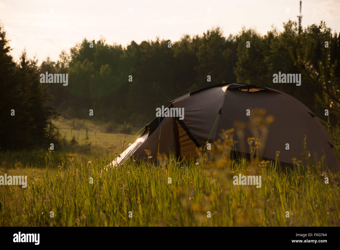 Earth brown tent in the sunset in lush green environment, Canada. Stock Photo