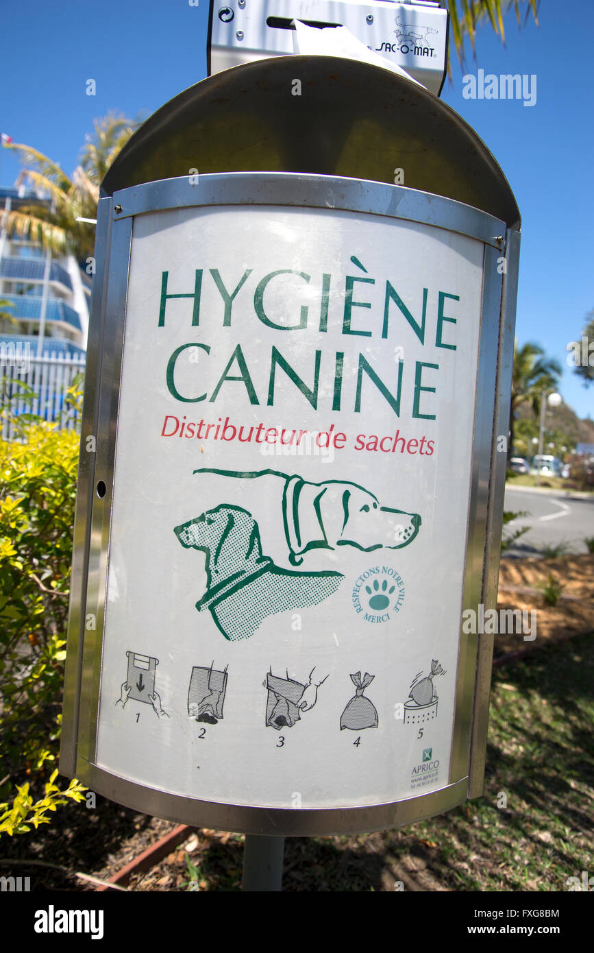 Prevent disease eye-catching large display label on container to remind dog owners to clean up after their dogs. Stock Photo
