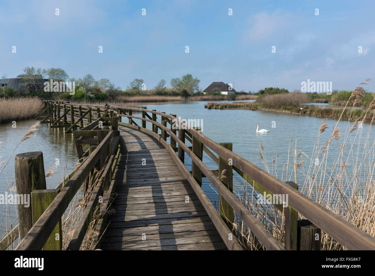 Visitor path, boardwalk over the water, in the rear observation house and aquarium, Valle Canal Novo nature reserve Stock Photo