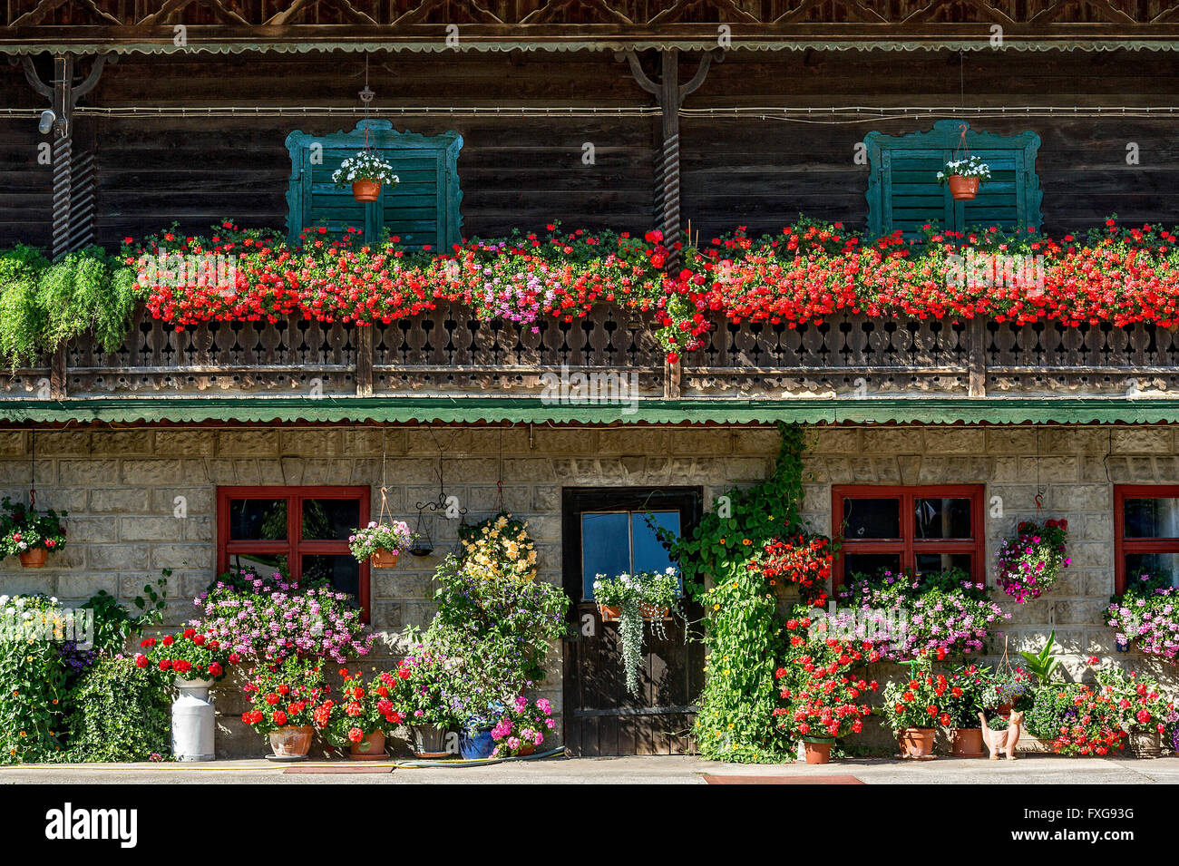 Old farmhouse, balcony with geraniums (Pelargonium spec.), flower boxes, Piesenkam, Isarwinkel, Upper Bavaria, Bavaria, Germany Stock Photo
