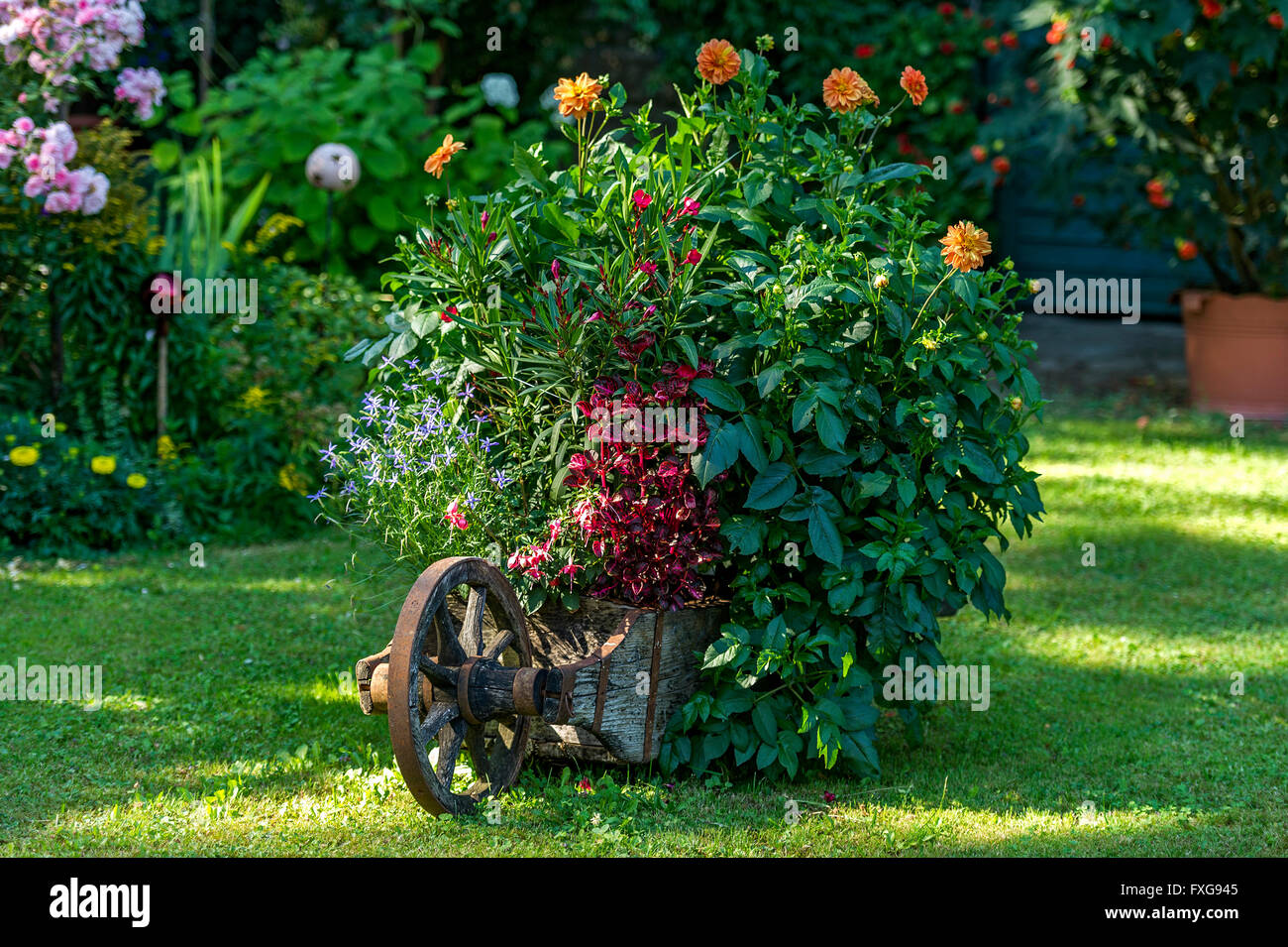 Old wheelbarrow planted with flowers in a cottage garden, Piesenkam, Isarwinkel, Upper Bavaria, Bavaria, Germany Stock Photo