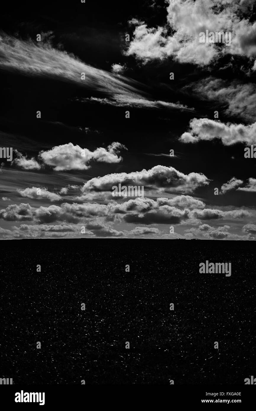 Black and white photo grassy slope below sky with fluffy clouds Stock ...
