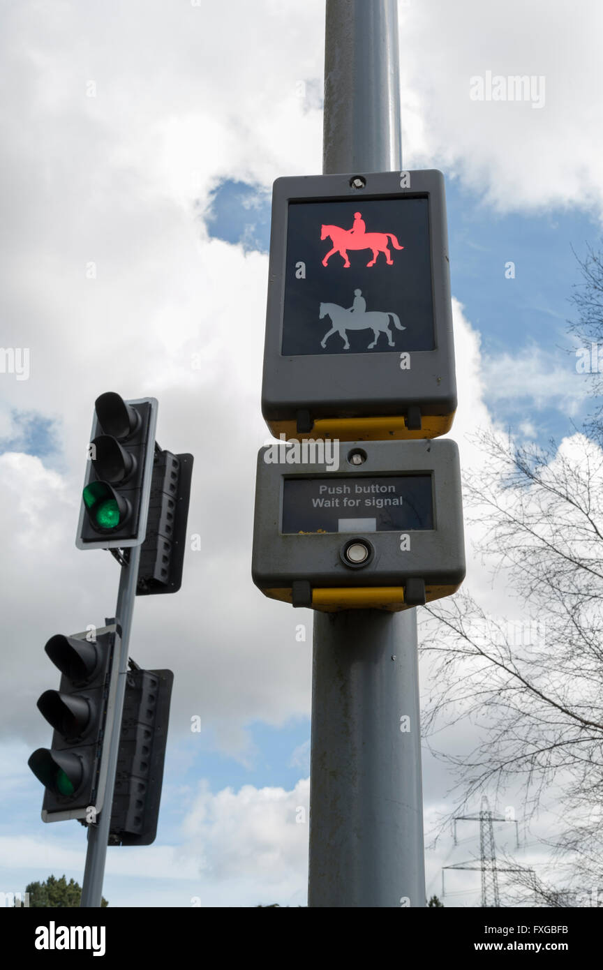 Pelican crossing showing horse and rider signal Stock Photo