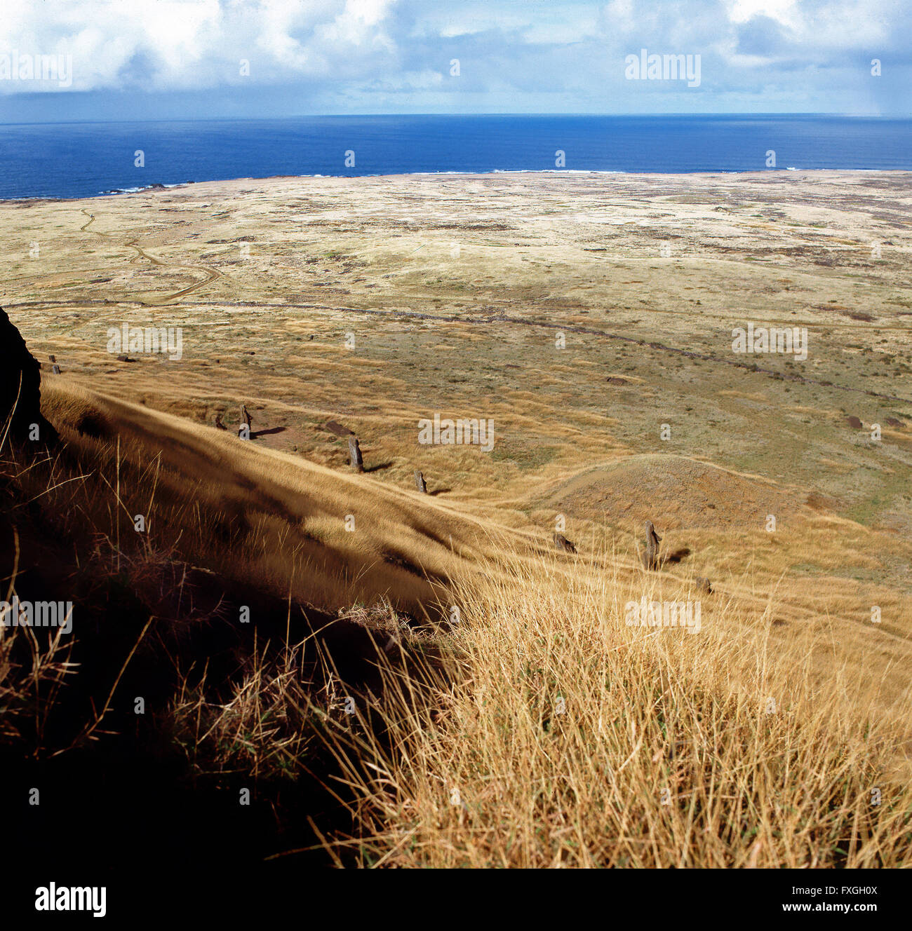 Famous Easter Island statues Stock Photo Alamy