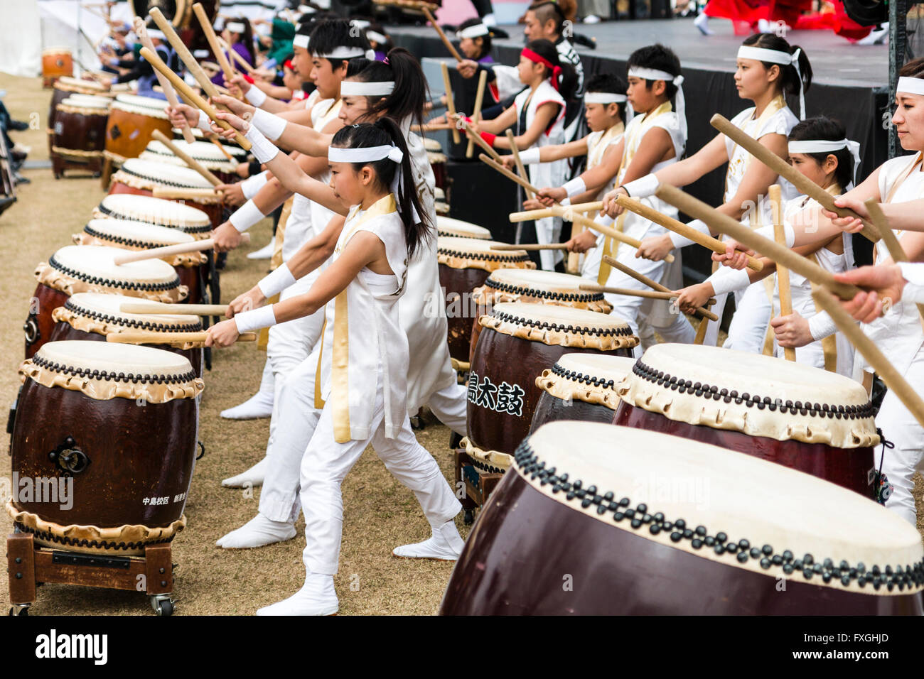 View along two rows of Taiko Drummers, during a kumidaiko show