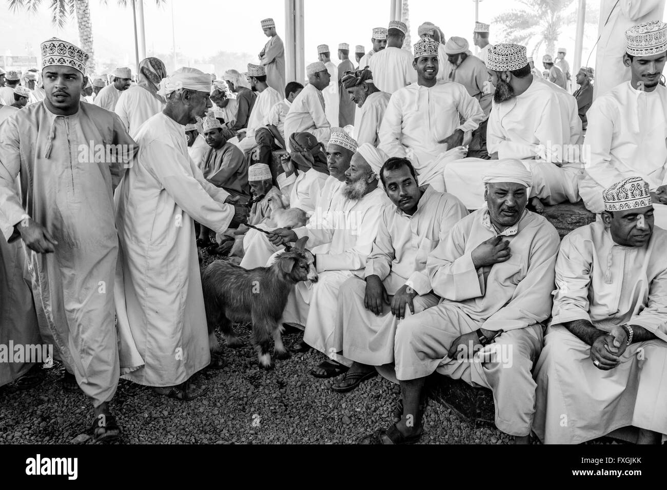 The Friday Livestock Market, Nizwa, Ad Dakhiliyah Region, Oman Stock Photo