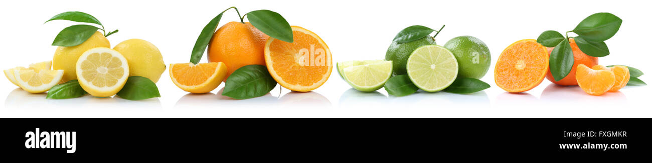 Collection of oranges mandarins lemons fruits in a row isolated on a white background Stock Photo