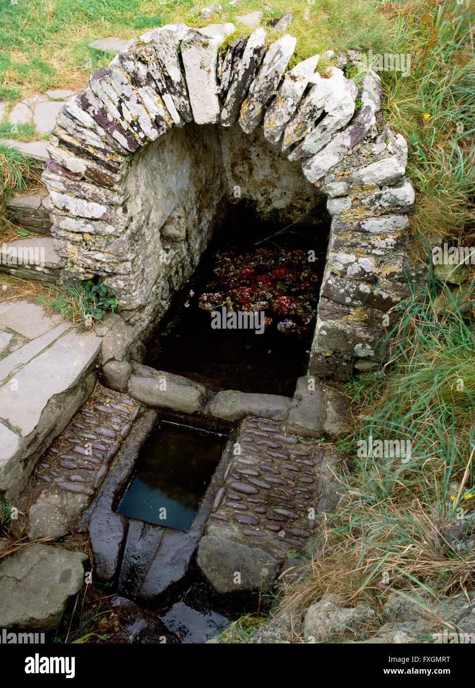 St Non's holy well near St David's, Pembrokeshire, renowned for its miraculous and healing powers, especially for eye conditions. Stock Photo