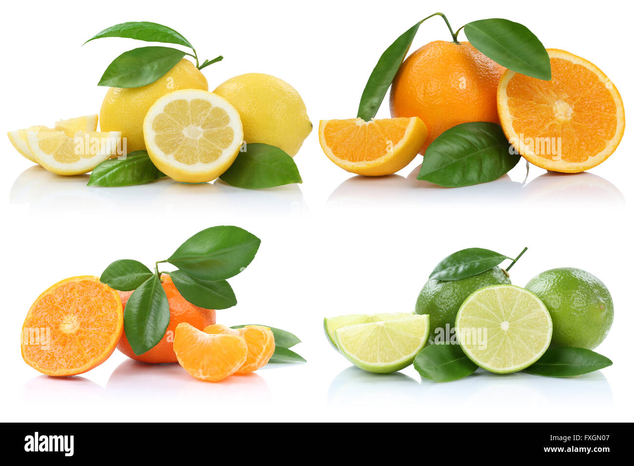 Collection of oranges mandarins lemons fruits isolated on a white background Stock Photo