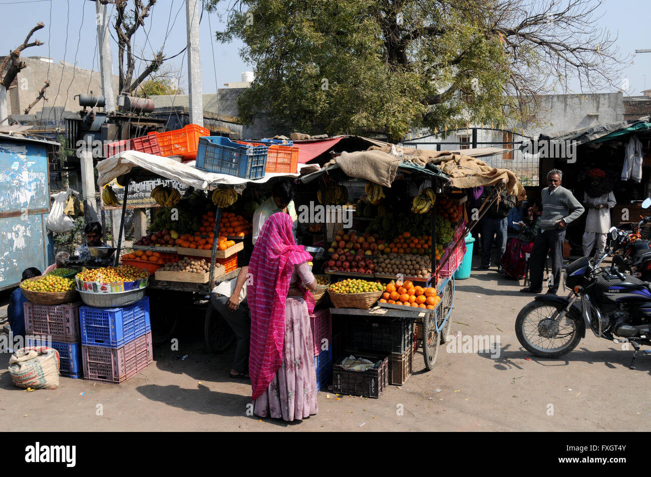 A very local market stall selling fruit and vegetables in the northern Indian town of Jojawar. Stock Photo