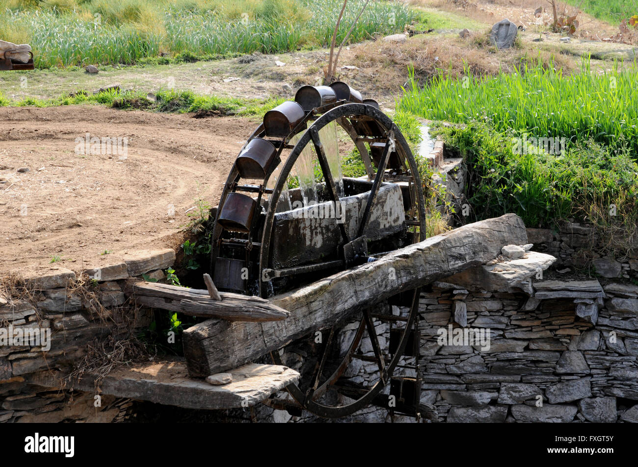 The wheel and buckets, driven by bullocks, on a Persian Wheel, an ancient method of drawing water from a well. Stock Photo
