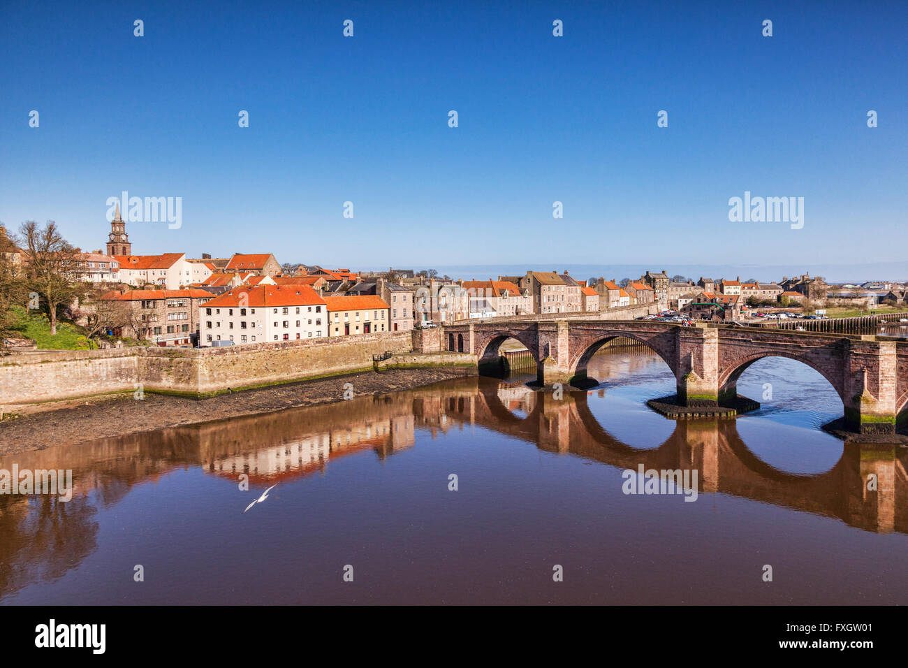 Berwick-upon-Tweed and Berwick Old Bridge, Northumberland, England, UK Stock Photo