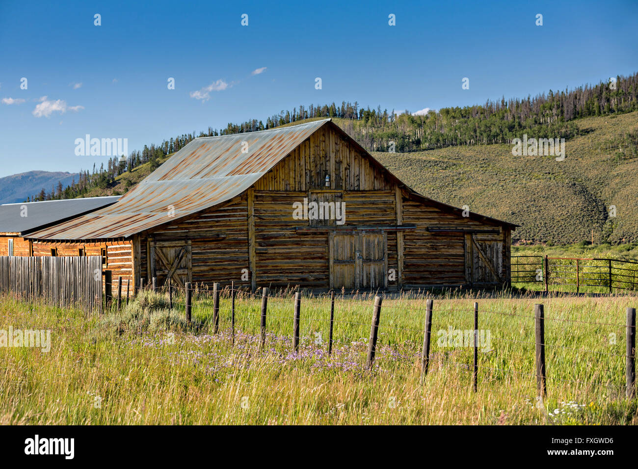 Old log cabin near the Roosevelt National Forest near Gould, Colorado