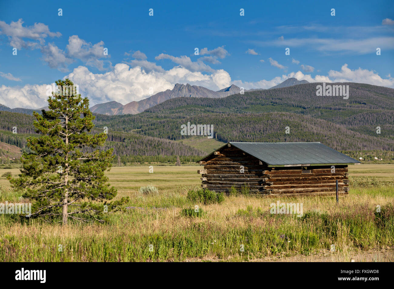 Old log cabin near the Roosevelt National Forest near Gould, Colorado