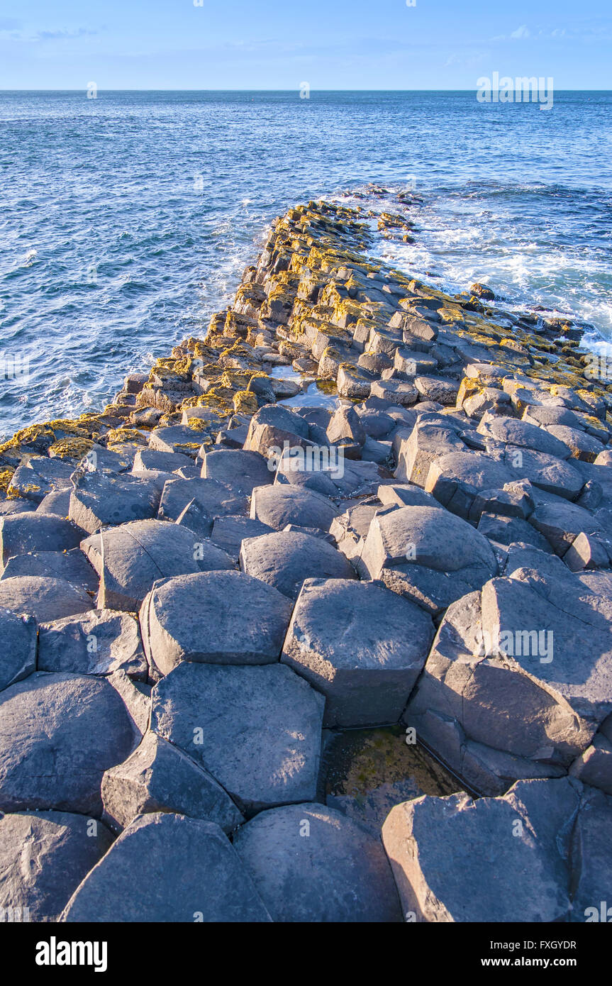 Giants Causeway unique geological hexagonal formations on the coast in County Antrim, Northern Ireland, UK, in sunset light. Stock Photo