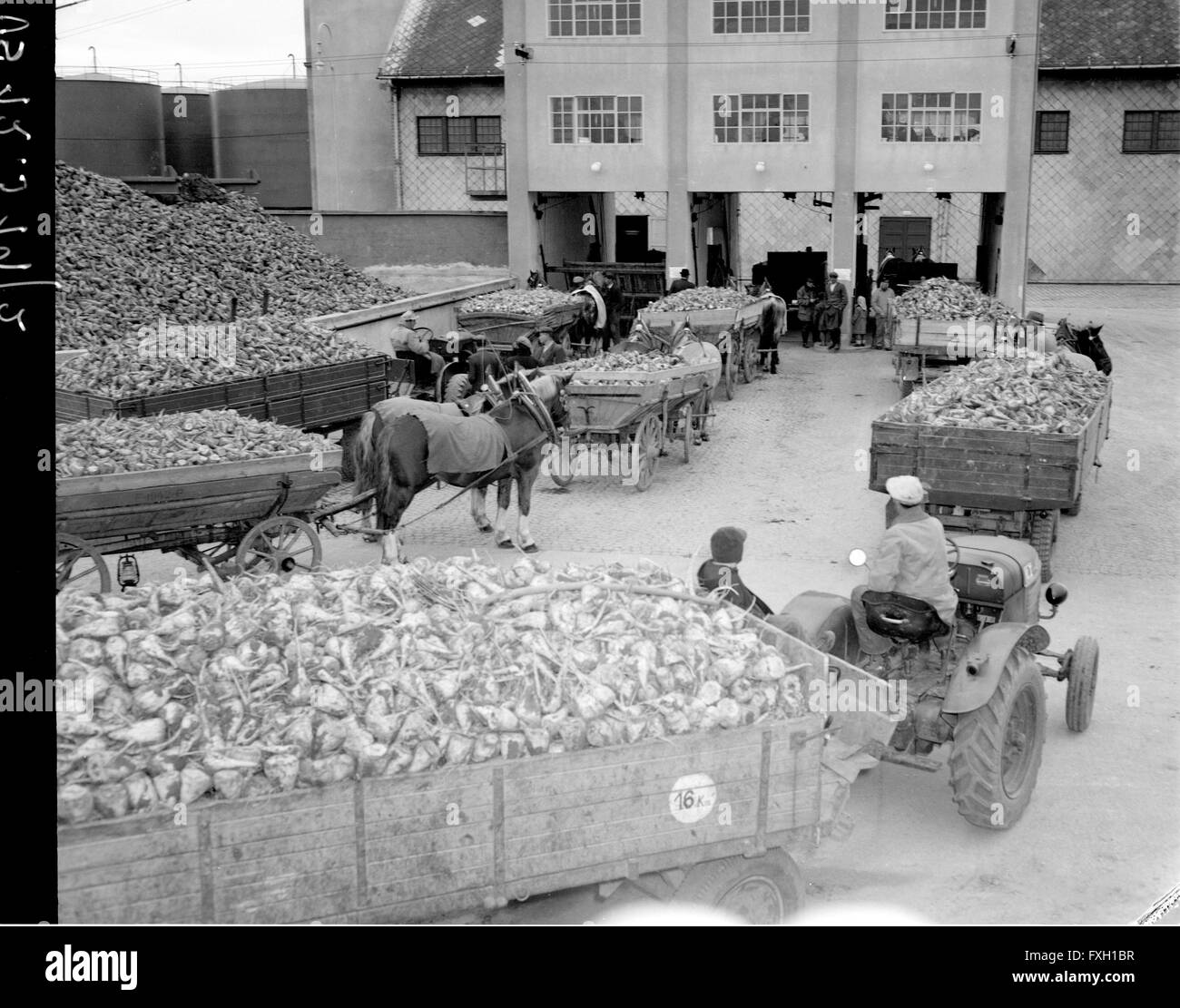 ZUCKERFABRIKATION WIKIPEDIA visual data 3