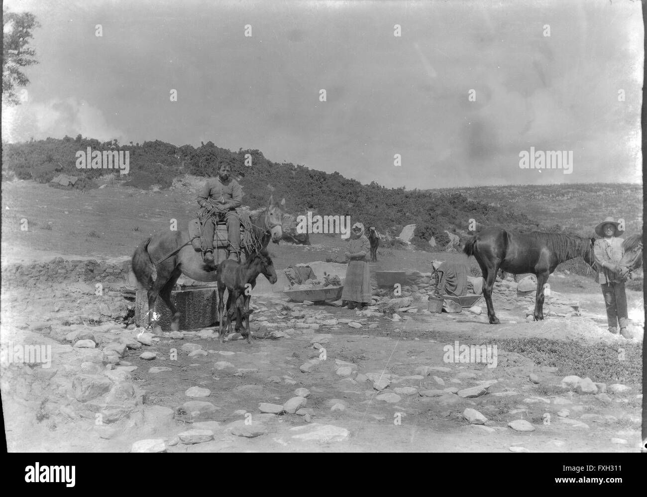 Wassertränke auf der Peloponnes Stock Photo - Alamy