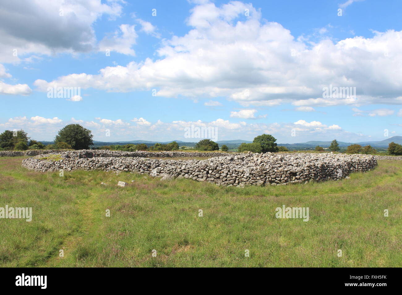 Rathgall Hillfort in County Wicklow, Ireland Stock Photo