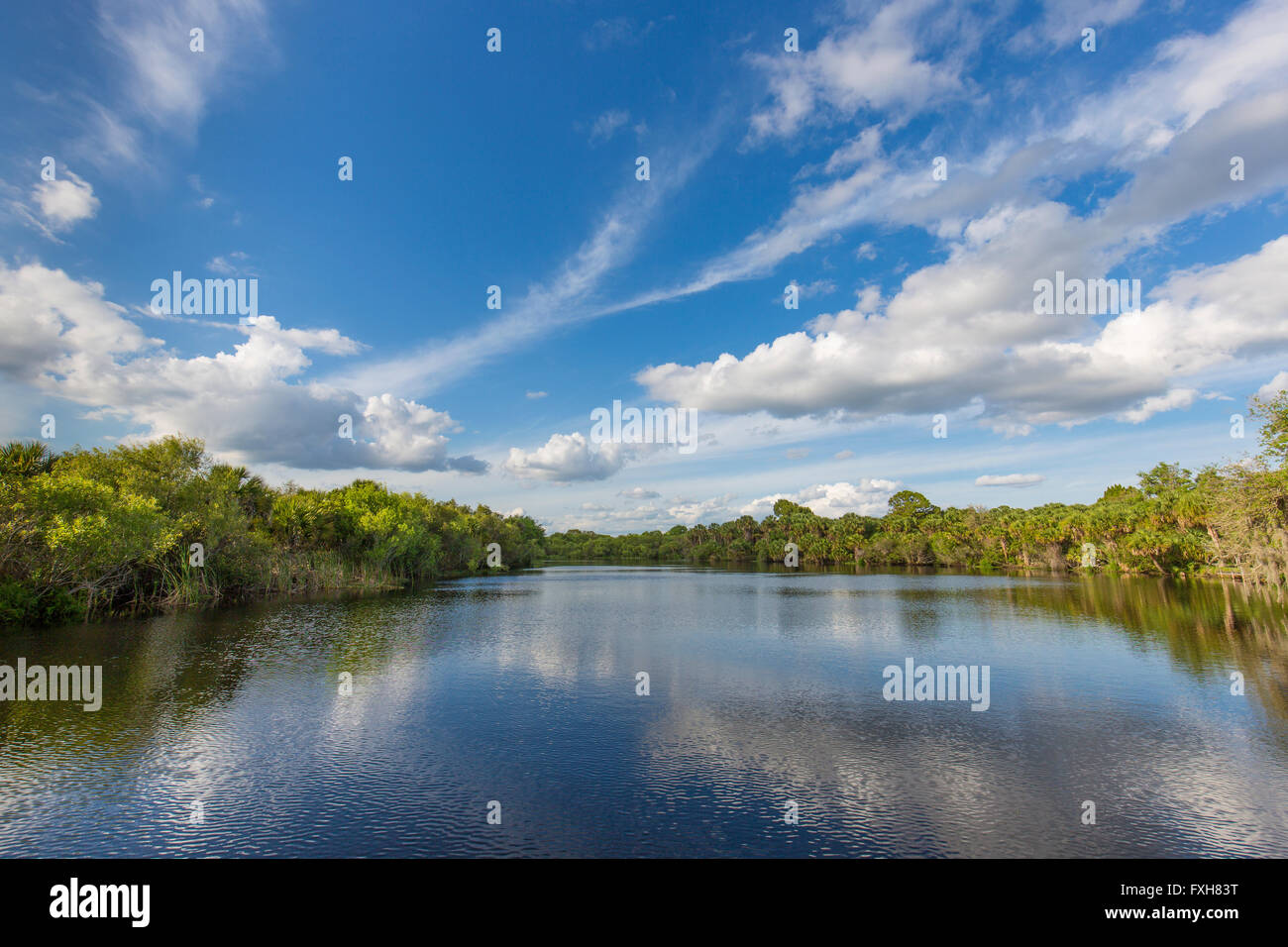 Deer Prairie Creek in Deer Prairie Creek Preserve in Venice Florida Stock Photo