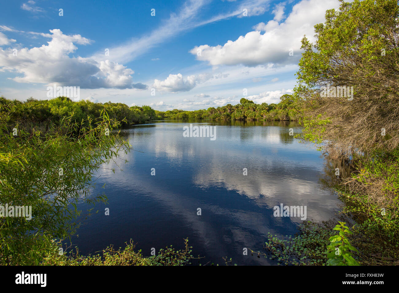 Deer Prairie Creek in Deer Prairie Creek Preserve in Venice Florida Stock Photo