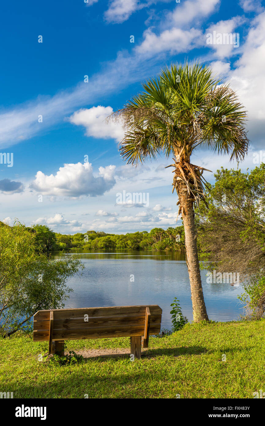 Bench in Deer Prairie Creek in Deer Prairie Creek Preserve in Venice Florida Stock Photo