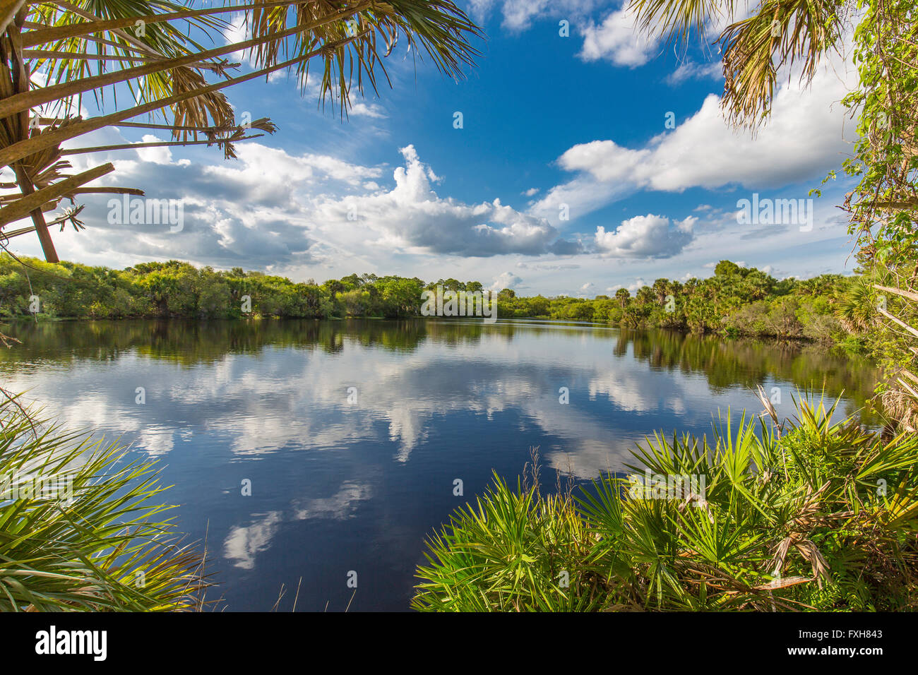 Deer Prairie Creek in Deer Prairie Creek Preserve in Venice Florida Stock Photo