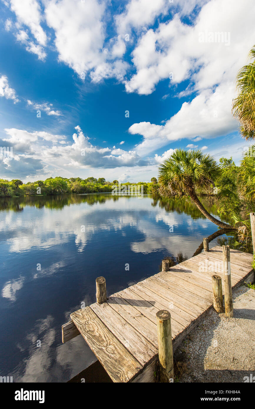 Deer Prairie Creek in Deer Prairie Creek Preserve in Venice Florida Stock Photo