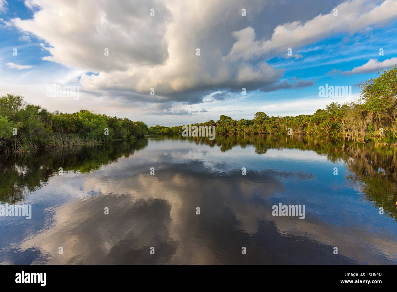Deer Prairie Creek in Deer Prairie Creek Preserve in Venice Florida Stock Photo