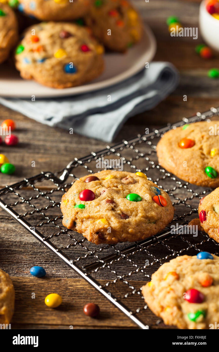 Homemade Candy Coated Chocolate Chip Cookies Ready to Eat Stock Photo