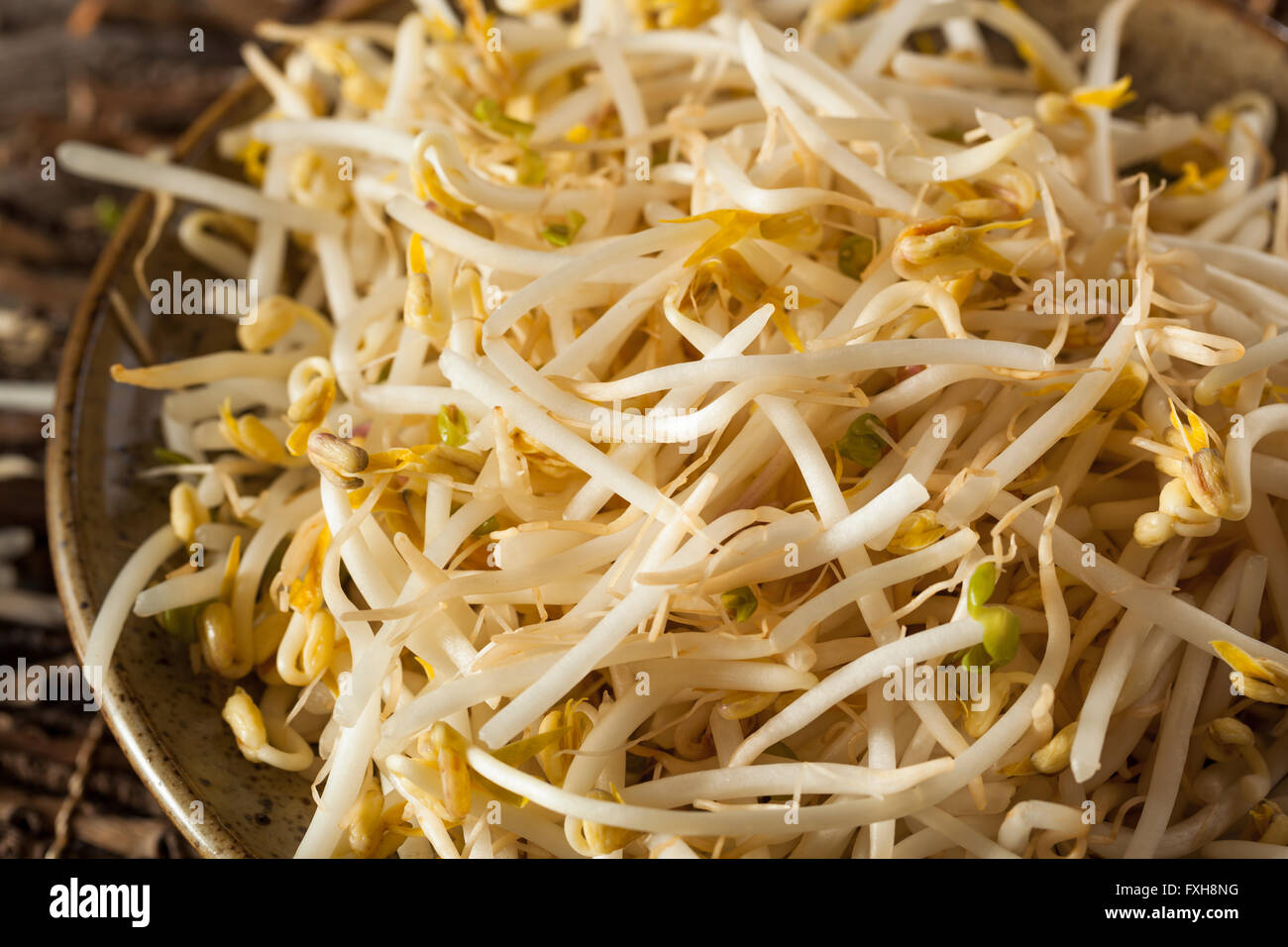 Yellow soybean sprouts hires stock photography and images Alamy