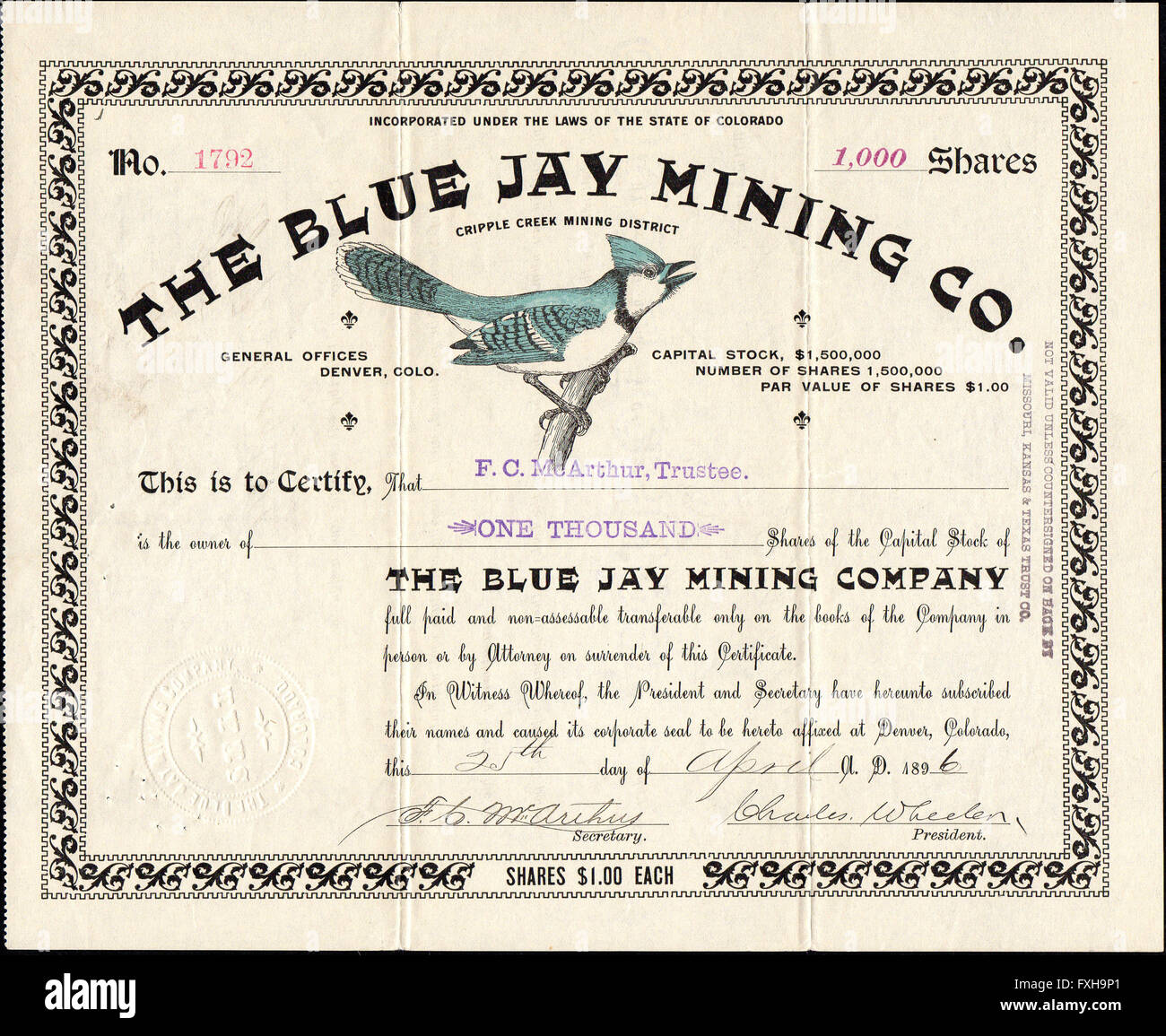 1896 The Blue Jay Mining Company Stock Certificate - Authentic Old West Document Issued at Cripple Creek Colorado USA Stock Photo