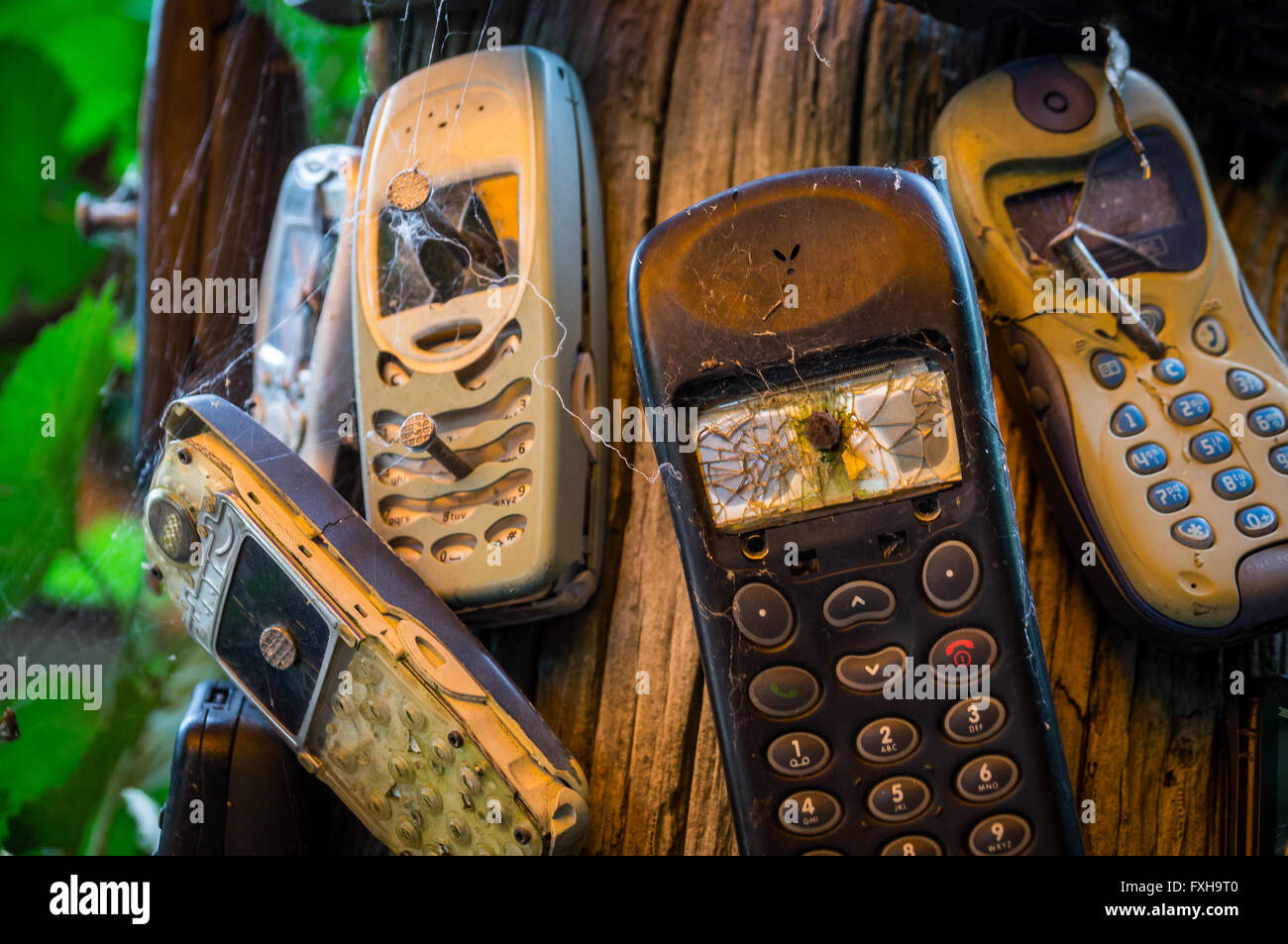 Old mobile phones are nailed to a trunk. The severely damaged mobile phones transfer the message that phones are to be turned of Stock Photo