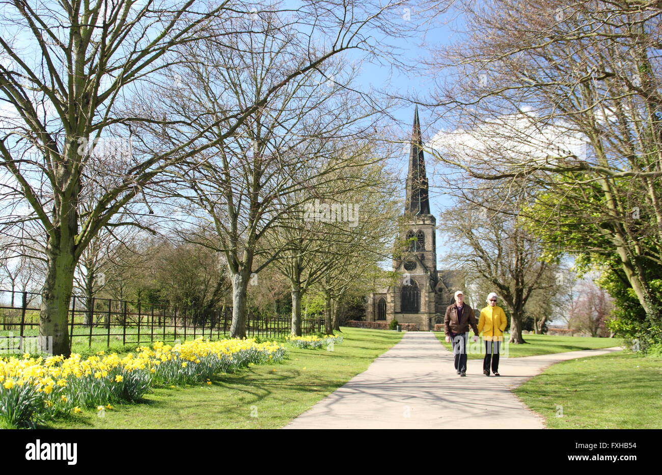 A senor man and woman on the daffodil walk by Wentworth Church (pictured) in Wentworth in Rotherham, South Yorkshire England UK Stock Photo