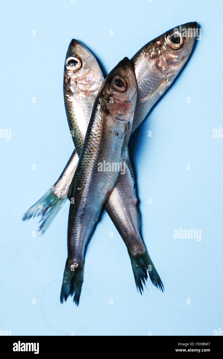 Delicious fish Stock Photo