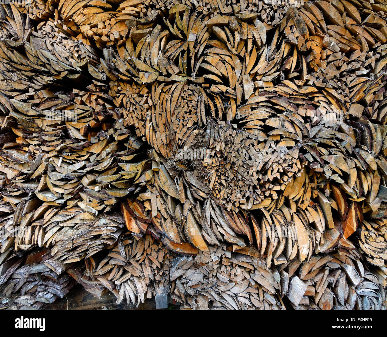 CONCEPT PHOTOGRAPHY: Wood the Alternative Energy Stock Photo