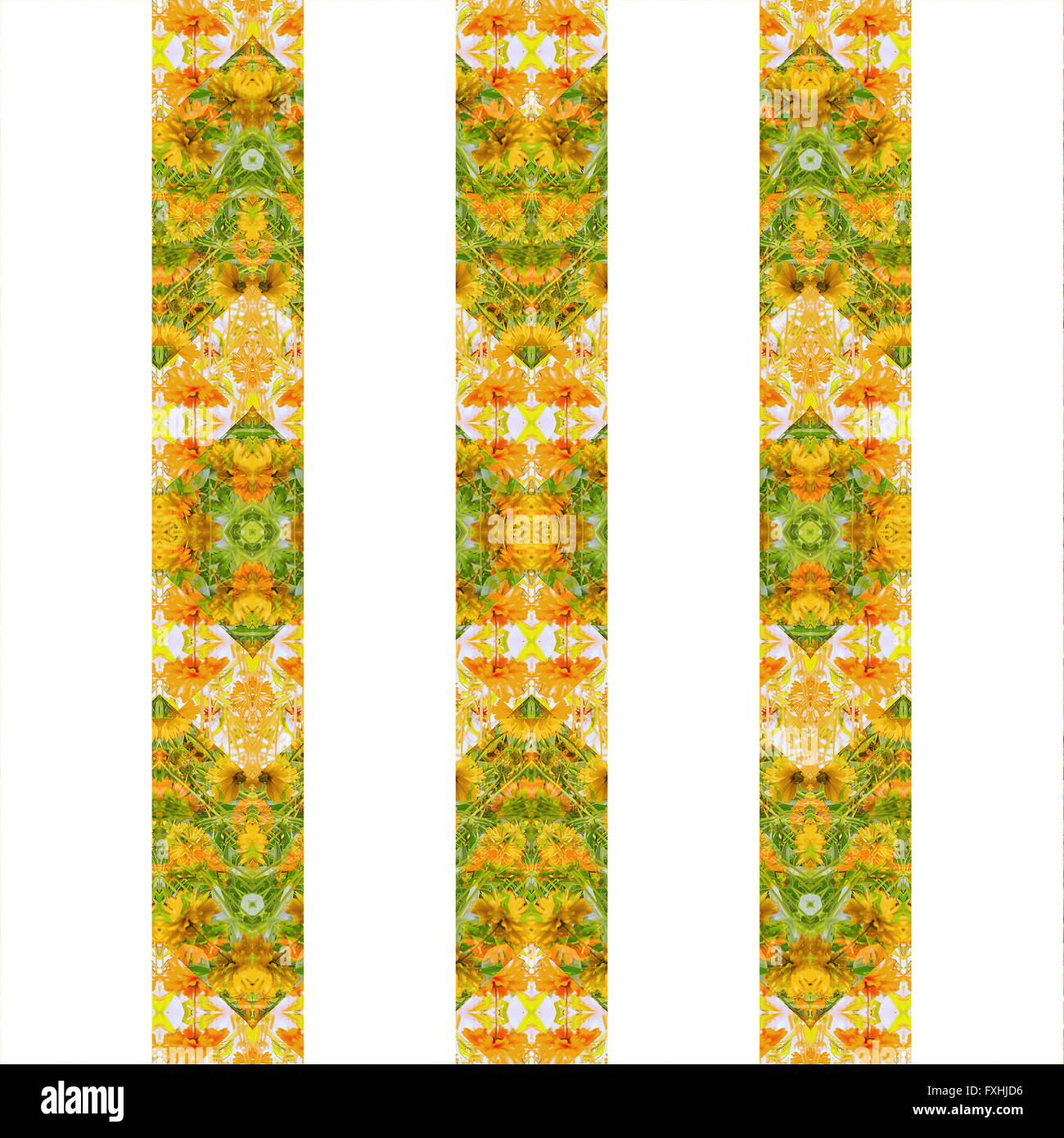 Digital collage technique stylized floral decorative stripes pattern design against white background Stock Photo