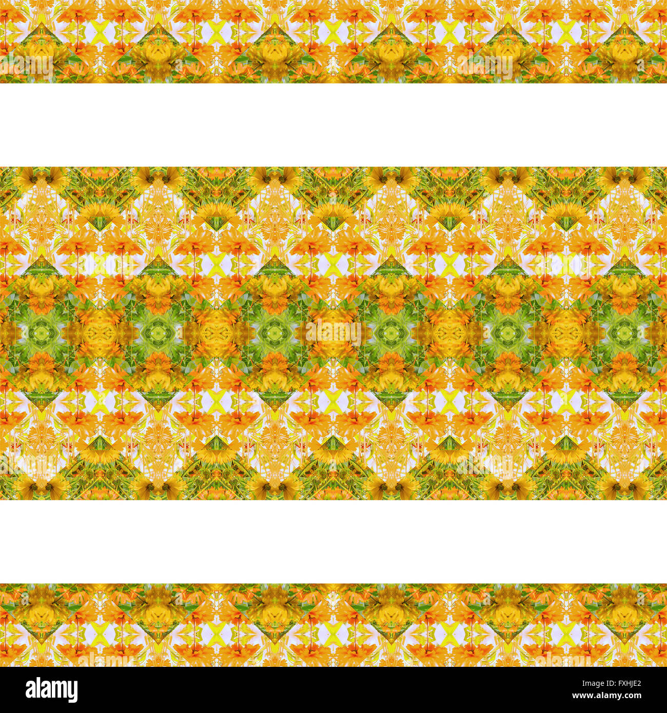 Digital collage technique stylized floral decorative stripes pattern design against white background Stock Photo