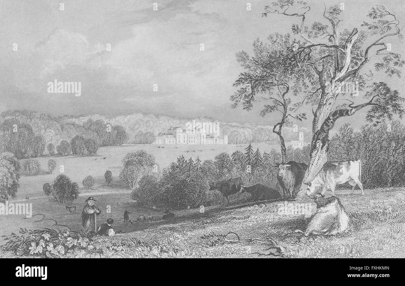 RUTLAND: Normanton Park: Allom, antique print 1836 Stock Photo