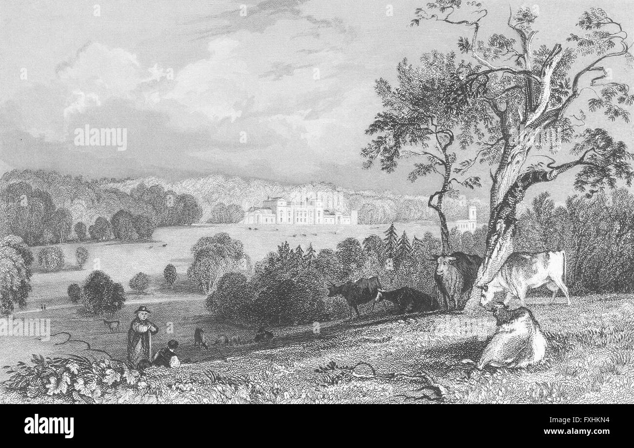 RUTLAND: Normanton Park: Allom, antique print 1836 Stock Photo