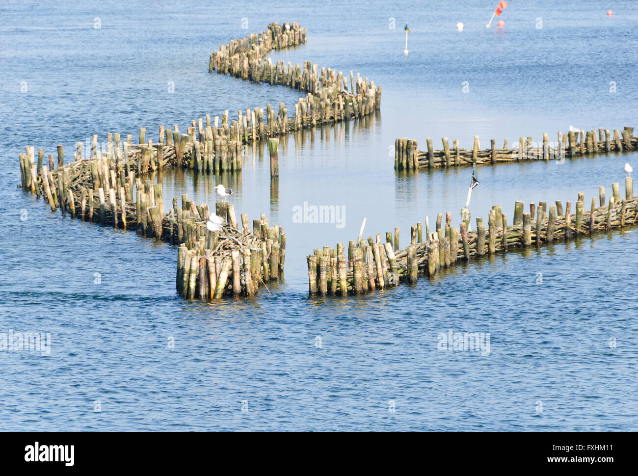 Historical herring weir in the Schlei at Kappeln Stock Photo