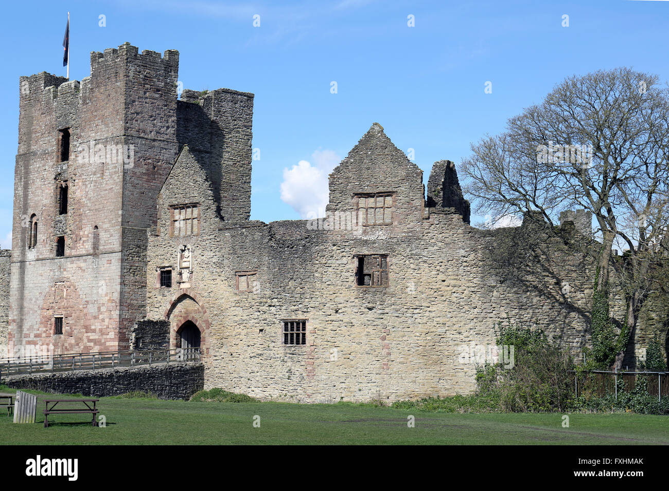 Outer wall Ludlow castle Stock Photo