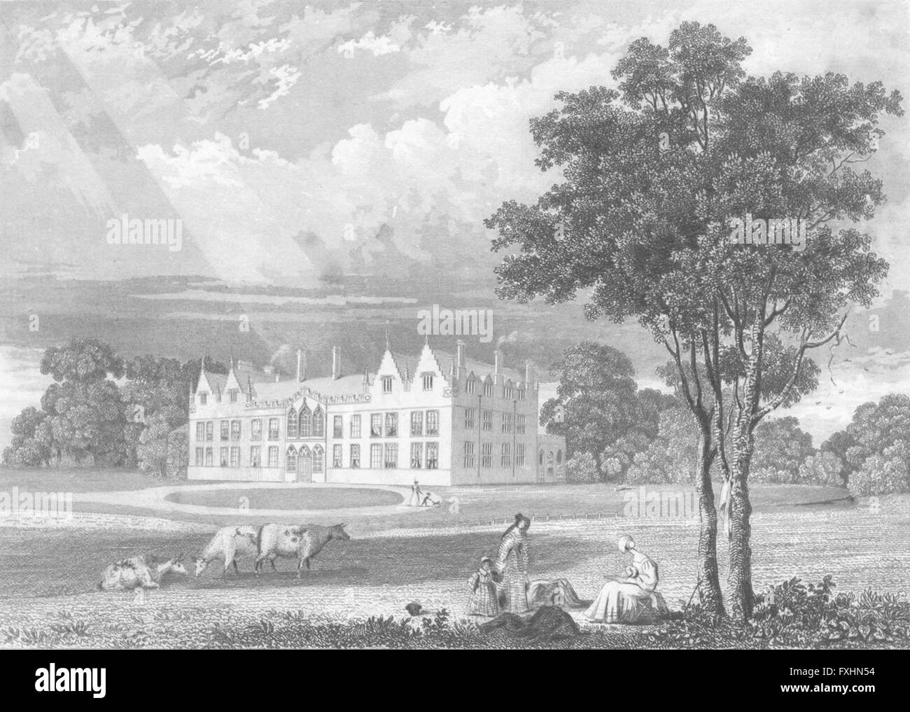 LINCS Casewick Hall Saunders cows, antique print 1836 Stock Photo Alamy