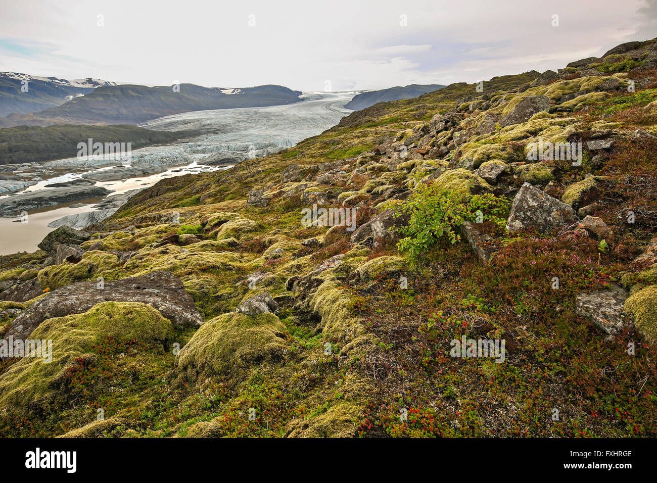 Rocky tundra, glacial lagoon and Hoffellsjokul Glacier, Vatnajokull National Park, Iceland Stock Photo
